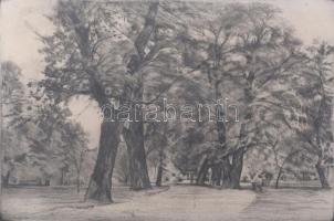 Boross Géza (1908-1971): Margitsziget, rézkarc, papír, jelzett. Üvegezett, sérült fakeretben, 29×40 cm