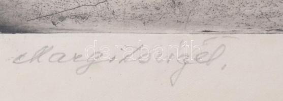 Boross Géza (1908-1971): Margitsziget, rézkarc, papír, jelzett. Üvegezett, sérült fakeretben, 29×40 ...