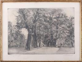 Boross Géza (1908-1971): Margitsziget, rézkarc, papír, jelzett. Üvegezett, sérült fakeretben, 29×40 ...