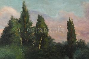 Artner jelzéssel: Hangulatos táj. Olaj, vászon. Apró javításokkal. 31,5×42,5 cm