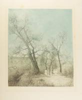 Dudás Jenő (1900-1991): Esti szürkület. Rézkarc, papír, jelzett, apró felületi karcolásokkal, lapszéli apró foltokkal, 39×33 cm