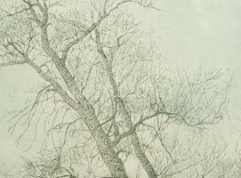 Dudás Jenő (1900-1991): Esti szürkület. Rézkarc, papír, jelzett, apró felületi karcolásokkal, lapszé...