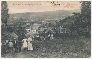 Zálnok-gyógyfürdő, Zalnoc; látkép / general view (fl)