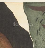 Korányi Gábor (1952-): Nem hegednek a sebek. Színes rézkarc, papír, jelzett, próbanyomat próba I. je...