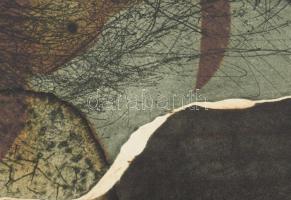 Korányi Gábor (1952-): Nem hegednek a sebek. Színes rézkarc, papír, jelzett, próbanyomat próba I. je...