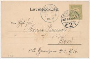 1902 Félixfürdő, Baile Felix; Fürdő, park. Helyfi László kiadása 41441. / spa, park. Art Nouveau, fl...