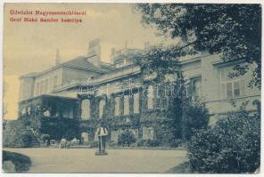 1917 Nagyszentmiklós, Sannicolau Mare; Gróf Nákó Sándor kastélya. Iritz Joh. kiadása 1273. (W.L. ?) / castle (EK)