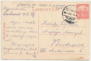 1917 Nagyszentmiklós, Sannicolau Mare; Gróf Nákó Sándor kastélya. Iritz Joh. kiadása 1273. (W.L. ?) ...