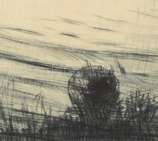 Fehér Ilona (1913-1983): Balaton. Rézkarc, papír, jelzett, 25x29 cm