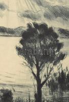Fehér Ilona (1913-1983): Balaton. Rézkarc, papír, jelzett, 25x29 cm