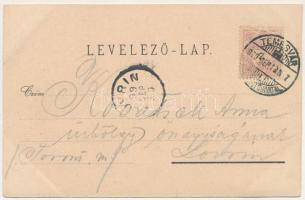 1899 Temesvár, Timisoara; Lonovics utca, Múzeum, Temesvári Első Takarékpénztár, Wolf József, Bierman...