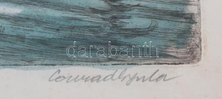 Conrad Gyula (1877-1959): Budafoki halászkunyhó. Színezett rézkarc, papír, jelzett, lap széle kissé ...