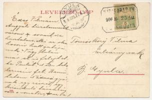 1906 Zarándnádas, Nádas, Nadas; Nádasi gőzfűrész, fűrésztelep, iparvasút, gőzmozdony, vonat. Aradi t...