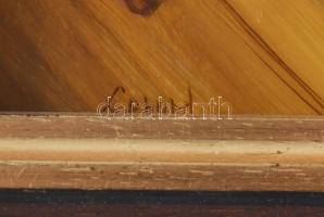 Kocsis Lénárd (1958-): Cicával játszó nő. Olaj, fa, jelzett. Dekoratív fakeretben, 24x18 cm