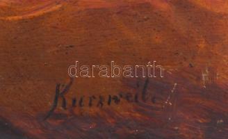 Kurzweil jelzéssel: Egy kedves látogató. Olaj, fatábla, 19,5×26 cm