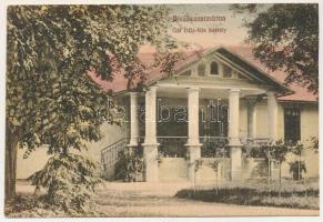 1911 Dicsőszentmárton, Tarnaveni; Gál Béla-féle kastély. Dosztal K. kiadása / castle (EK)