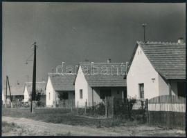 cca 1970 Újmohács, a Duna bal partján, Pataksor utca, hátoldalon feliratozott fotó, 17×23 cm