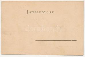 Vajnafalva, Voinesti (Kovászna, Covasna); Sárosfürdő. Julius Müller utóda / spa (EK)