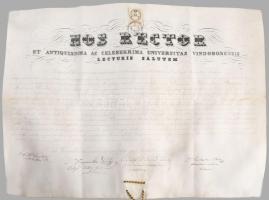1868 Berger Mór bécsi egyetemi osvosdoktori, sebészi oklevele, rektori, dékáni, professzori és jegyzői aláírásokkal, fatokos pecséttel, hiányzó fedéllel, 1 ft. okmánybélyeggel, pergamen, 41x55 cm