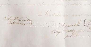 1868 Berger Mór bécsi egyetemi osvosdoktori, sebészi oklevele, rektori, dékáni, professzori és jegyz...