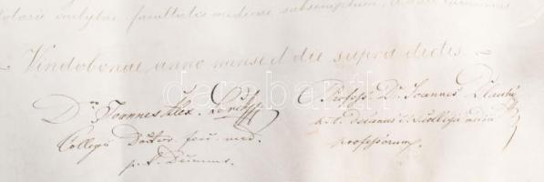 1868 Berger Mór bécsi egyetemi osvosdoktori, sebészi oklevele, rektori, dékáni, professzori és jegyz...