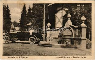 1923 Előpatak, Valcele; Erzsébet forrás, kiránduló automobil / Izvorul Elisabeta / mineral water spring, automobile trip (lyukak / pinholes)