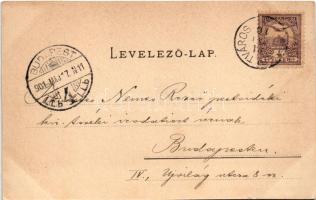 1901 Erzsébetváros, Dumbraveni; Erzsébet utca, Mühlsteffen Gusztáv üzlete és saját kiadása, vendéglő...