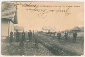 1906 Marosludas, Ludosul de Mures, Ludus; Eczken féle kincstári telepek. S.D.M. 2426. / treasury colony (szakadások / tears)