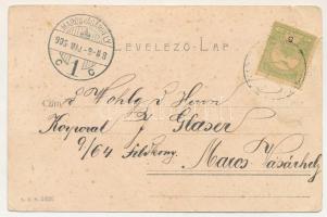 1906 Marosludas, Ludosul de Mures, Ludus; Eczken féle kincstári telepek. S.D.M. 2426. / treasury col...