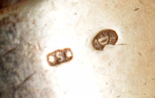 2 darab ezüst (Ag) gyűrű m: 56 + ezüst (Ag) fülbevaló pár, bruttó 18g