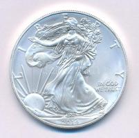 Amerikai Egyesült Államok 2019. 1$ Ag "American Silver Eagle" kapszulában T:UNC USA 2019. 1 Dollar Ag "American Silver Eagle" in capsule C:UNC Krause KM#273