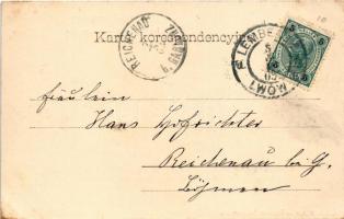 1903 Lviv, Lwów, Lemberg; Plac Maryacki / Marienplatz / square, horse-drawn carriage, shops of K. Fr...