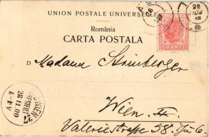 1900 Iasi, Jasi, Jassy, Jászvásár; O Familie de Tigani / Gypsy folklore. Edit. N. S. Saraga (crease)