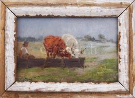 Pállya Carolus (1875-1948): Itatás. Olaj, fa, jelzett. Karton hátlapon Kovács Dezső hagyatéka bélyegzéssel. Kopott fakeretben. 11,5x17 cm