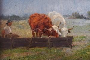 Pállya Carolus (1875-1948): Itatás. Olaj, fa, jelzett. Karton hátlapon Kovács Dezső hagyatéka bélyeg...