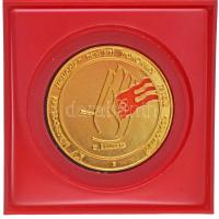 Ukrajna 2002. "XV. Csernobili Tűzhősök Nemzetközi Emlékversenye / Ukrán Belügyminisztérium Főigazgatóságának Állami Tűzvédelmi Osztály, Kijev" részben festett, aranyozott Al díjérem eredeti tokban. A 2026-ban már 40 éve történt atomkatasztrófa emlékére rendezett versenyt 1987 óta rendezik. Szign.: M. Visneve (68mm) T:UNC Ukraine 2002. "XV. International Memorial Competition of Chernobyl Fire Heroes / State Fire Protection Department of the Main Directorate of the Ministry of Internal Affairs of Ukraine, Kiev" partially painted, gilded prize medal in original case. The competition, which will be held in 2026 to commemorate the 40th anniversary of the nuclear disaster, has been held since 1987. Signed: M. Visneve (68mm) C:UNC