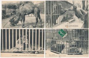 PÁRIZS - 33 db RÉGI képeslap: állatkert / PARIS - 33 pre-1945 postcards: zoo