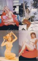 88 db MODERN megíratlan erotikus képeslap, "Classic Pin-Ups" sorozat, meztelen hölgyek / 88 modern unused erotic postcards: Classic Pin-Ups, nude women