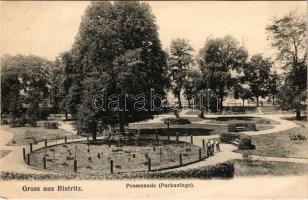 Beszterce, Bistritz, Bistrita; Promenade (Parkanlage) / sétány, park. C. W. Schell kiadása / promenade, park (EB)