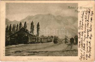 1902 Nagyszeben, Hermannstadt, Sibiu; Bahnhof. Gruss vom Szurul / vasútállomás, vonat, gőzmozdony / railway station, train, locomotive. E.B. No. 10. (EK)