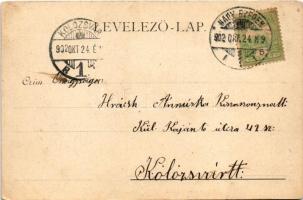 1902 Nagyszeben, Hermannstadt, Sibiu; Bahnhof. Gruss vom Szurul / vasútállomás, vonat, gőzmozdony / ...