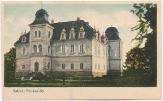 Nalácvád, Nalác, Nalácz, Nalatvad (Hátszeg, Hateg); Fái (Naláczy-Fáy) kastély. Kendoff A. és fia kiadása / castle (r)