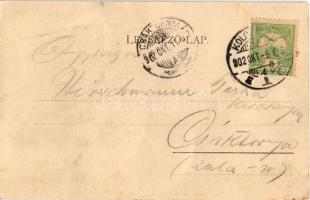 1902 Kolozsvár, Cluj; Mátyás király. Gibbon Albert kiadása / Mathias Rex Hungariae / Matthias I, Kin...