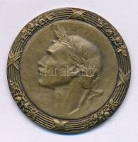 1927. "M. kir Folyamőrség 1927" egyoldalas bronz emlékérem, hátoldalon gravírozva (32mm) T:AU