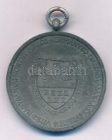 1940. "Erdélyi részek felszabadulásának emlékére" Zn emlékérem mellszalag nélkül. Szign.: ...