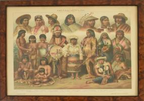 Népfajok, 5 db színes illusztráció Révai Nagy Lexikona és Pallas Nagy Lexikonból, üvegezett keretben...