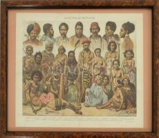 Népfajok, 5 db színes illusztráció Révai Nagy Lexikona és Pallas Nagy Lexikonból, üvegezett keretben...