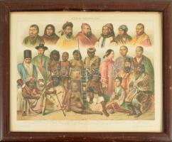 Népfajok, 5 db színes illusztráció Révai Nagy Lexikona és Pallas Nagy Lexikonból, üvegezett keretben...