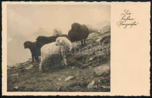 Deutsches Reich 1938