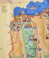 cca 1967 Somogy megye térképe, illusztrált, rajta a Balatonnal, Bp., Cartographia, hajtott, 98x66 cm